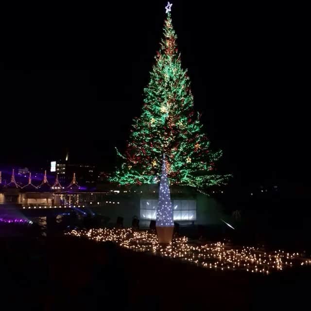 DJ LICCAのグルメインスタ