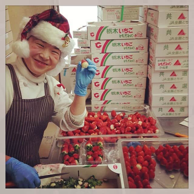 小堀紀代美のグルメインスタ