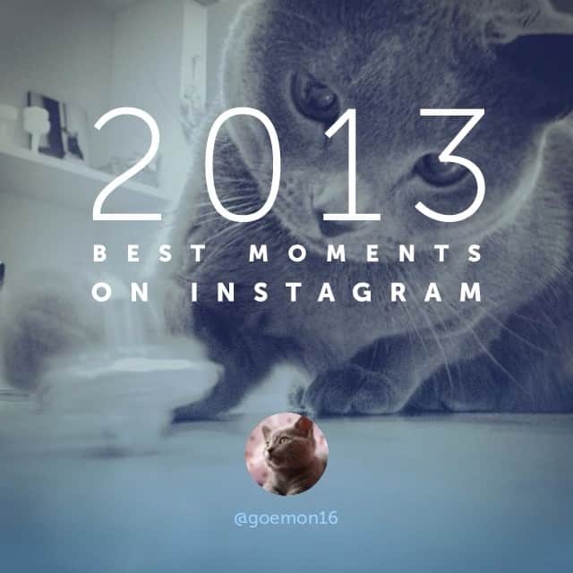 ミーちゃんのインスタグラム：「最近なかなか写真アップできてませんが今年も沢山のいいねをありがとうございました。皆さんの真似っこしてみました。」