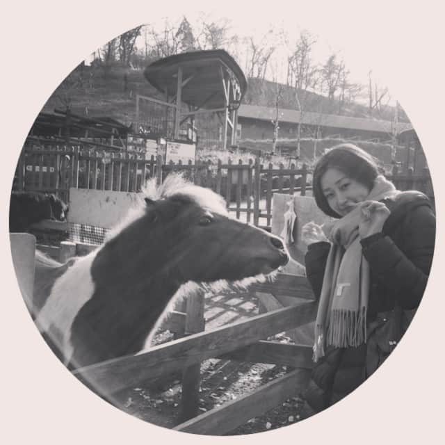 笛木優子のインスタグラム：「🐴🏇🐎💖今年も頑張りましょう！！올해두 화이팅합시다~~~!」