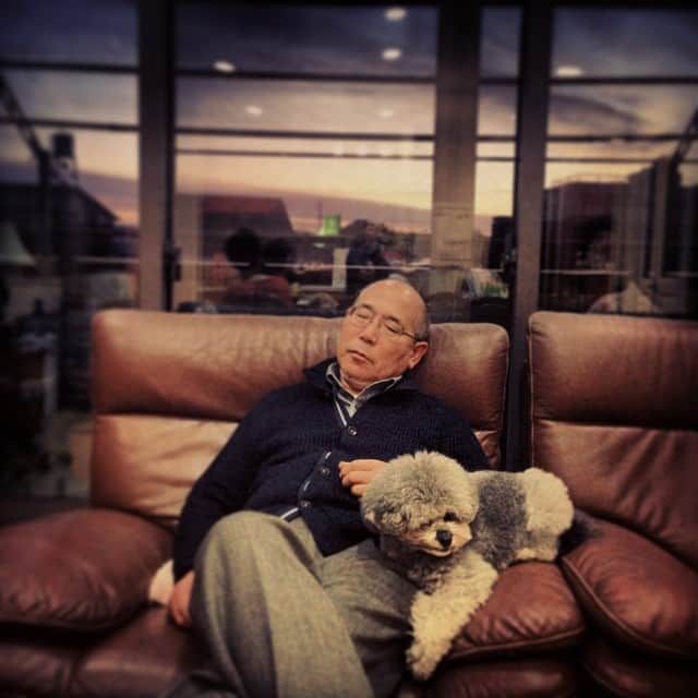 小泉里子さんのインスタグラム写真 - (小泉里子Instagram)「酔った父に寄り添うリケw #珍しい#お正月#実家#toypoodle #rique #dog #pet #father #newyear #2014 #トコリケ」1月2日 17時10分 - satokokoizum1