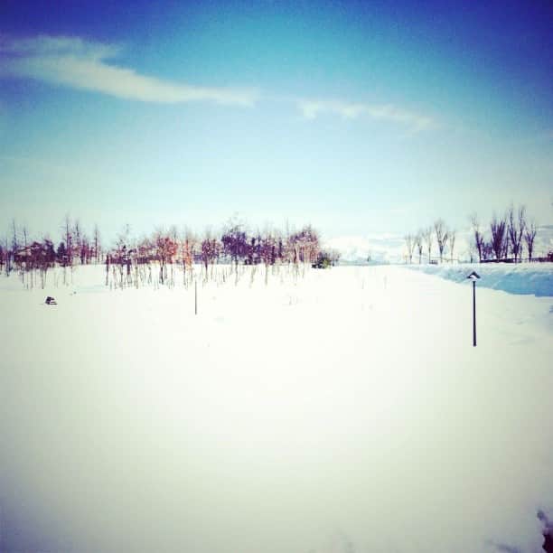 上村若菜さんのインスタグラム写真 - (上村若菜Instagram)「#新潟　#snow」1月3日 13時45分 - wakame_kami