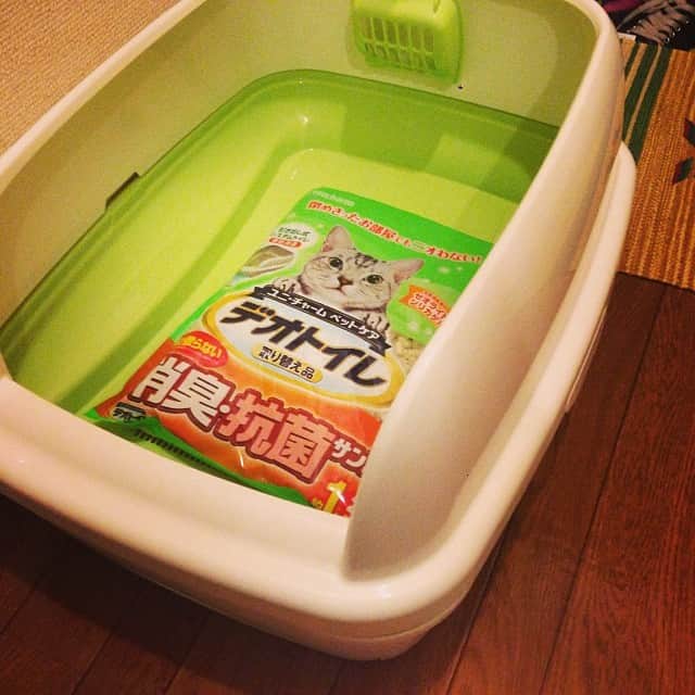 まつきあゆむのインスタグラム：「猫はいないが届いたので設置。これで、家に猫（のトイレ）あるんだよね。猫（のトイレ）見においでよってナンパできる。」