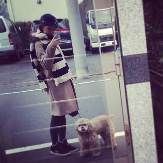 笛木優子のインスタグラム：「散歩😋🐶💨」