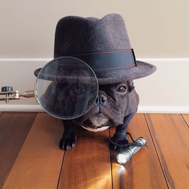 Trotterのインスタグラム：「Don't wait until you have to hire a pro like me to track down your stolen info. It's Data Privacy Day, & I'm here to warn you about the dangers of data theft & computer intrusion. Be sure to lock, track, & encrypt your mobile devices, & find out more with @intel's tips at http://intel.com/PINit #PINit」
