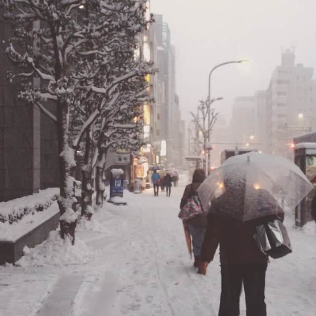 Kaneyasuのインスタグラム：「雪の街」