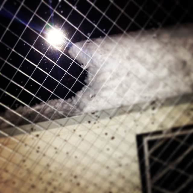 ほな・いこかのインスタグラム：「…明日は名古屋のワンマンだし、今日はこのくらいで勘弁してやるよ。」