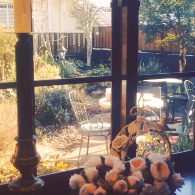 湯浅喬子のインスタグラム：「岡本でお茶わず❤︎ #today #cafe」