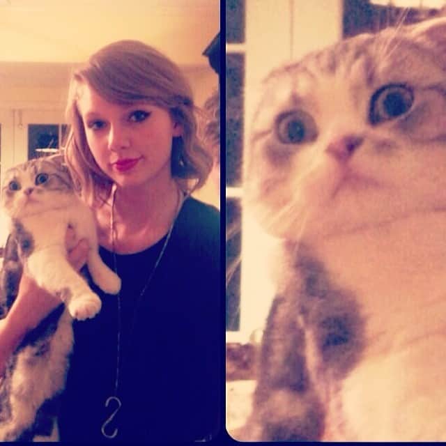 のインスタグラム：「Thanks a lot @taylorswift @iamjamesmcvey」