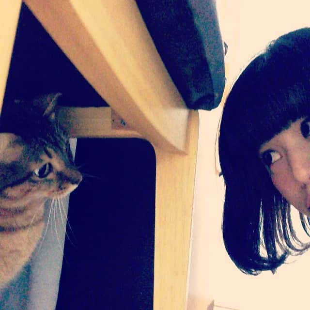 ほな・いこかのインスタグラム：「まだダメ。(この後おでこを全力で引っかかれました。)」