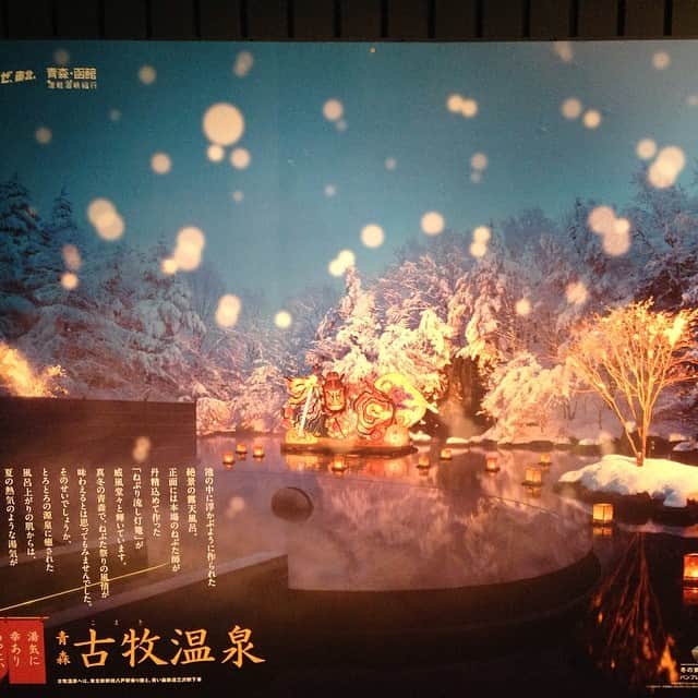 笛木優子のインスタグラム：「星野リゾート 青森屋。この露天風呂入りました👘♨️🍎」