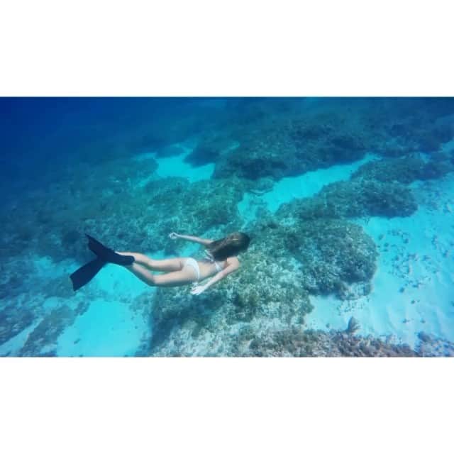 Elena Kalisのインスタグラム：「@_bahamasgirl_  #freediving」