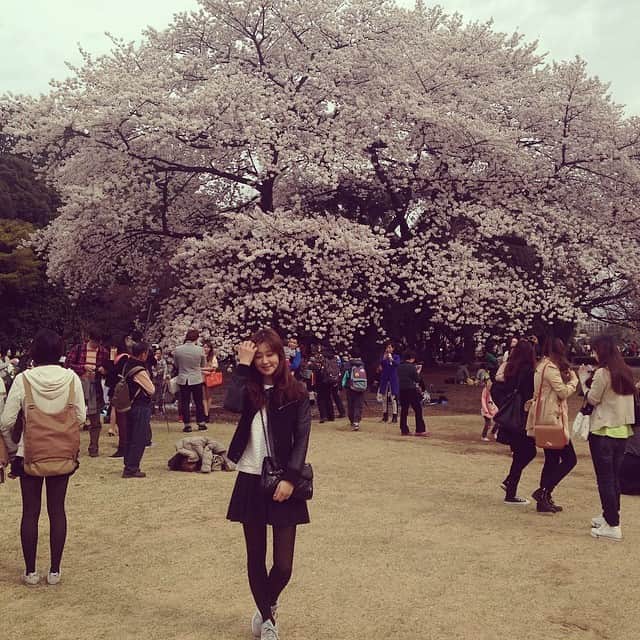 笛木優子のインスタグラム：「また来たった😁🌸」