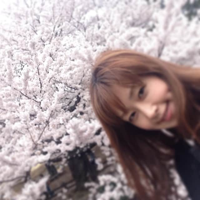 笛木優子のインスタグラム：「きれいやろ💓」