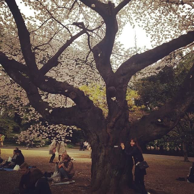 笛木優子のインスタグラム：「桜子出現 笑  みんなわかるかなあ〜？ 知らない人ごめんさい(｡-_-｡)」