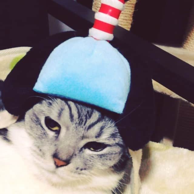 しよりのインスタグラム