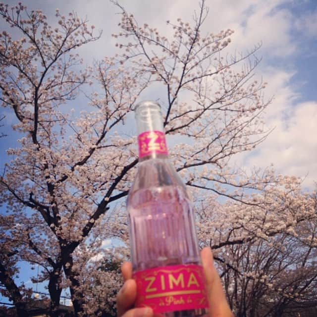 ZIMA Pink（ジーマ ピンク）のインスタグラム：「#Girls Hanami needs #ZIMAPink ♥️ ピンクの桜の下でジーマピンク。週末の最後まで花見気分、楽しんじゃいましょ🎵」
