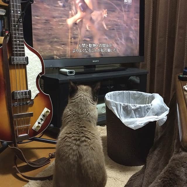 のインスタグラム