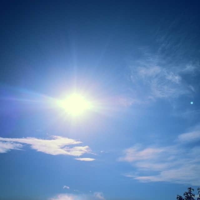 吉田ちかさんのインスタグラム写真 - (吉田ちかInstagram)「午前中は曇ってたけど、午後からはnice and sunny♡ #blueskies」4月25日 9時24分 - bilingirl_chika