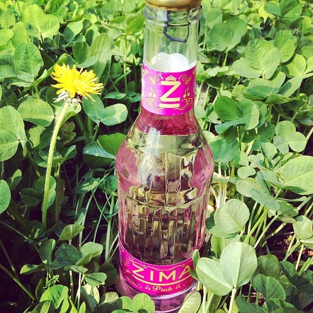 ZIMA Pink（ジーマ ピンク）のインスタグラム：「#perfectspringday for #Picnic with #zimapink」