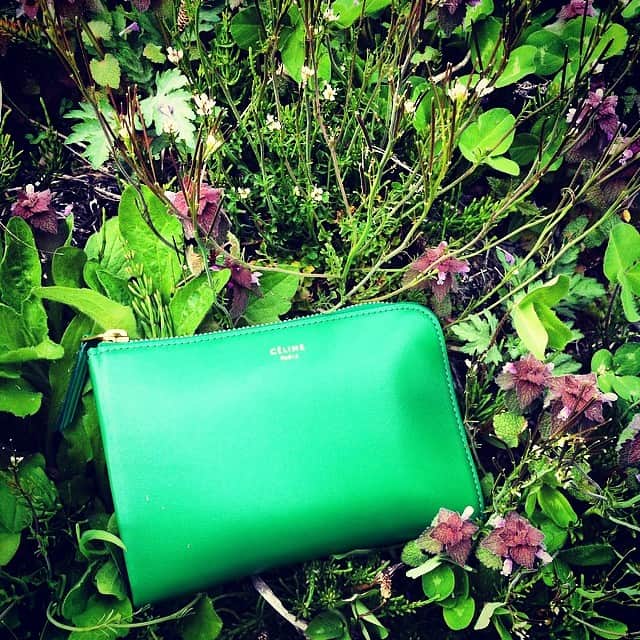 のインスタグラム：「Wildflower & My new green wallet🌱お財布をなくして新しいのを探していたところ、CÉLINE の半蔀くんにお勧めされた鮮やかなグリーン。いつもの自分なら手を出さない激しめなカラー物も持ってみるとなんだか気分が上がっていい感じ。 妙高高原はまだ雪が少し残っていて木々や野草も早春といった感じ。大自然に癒されるのんびりとしたGW。#wildflower#céline」