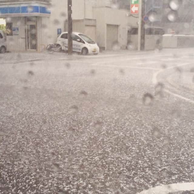 仁科仁美のインスタグラム：「宇都宮のNOW…꒰꒪꒫꒪⌯꒱ ひょう降ってるんですけど…⤵︎ びっくり⤵︎⤵︎ 早く帰ひたい⤵︎泣」