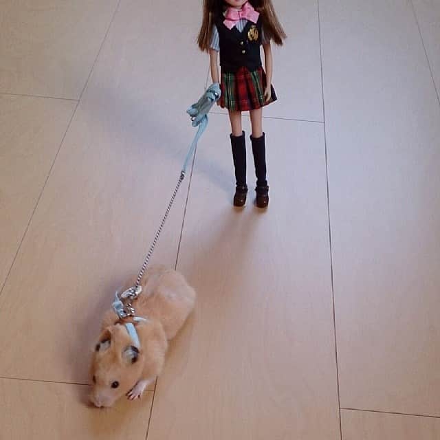 sweet_strawberryのインスタグラム