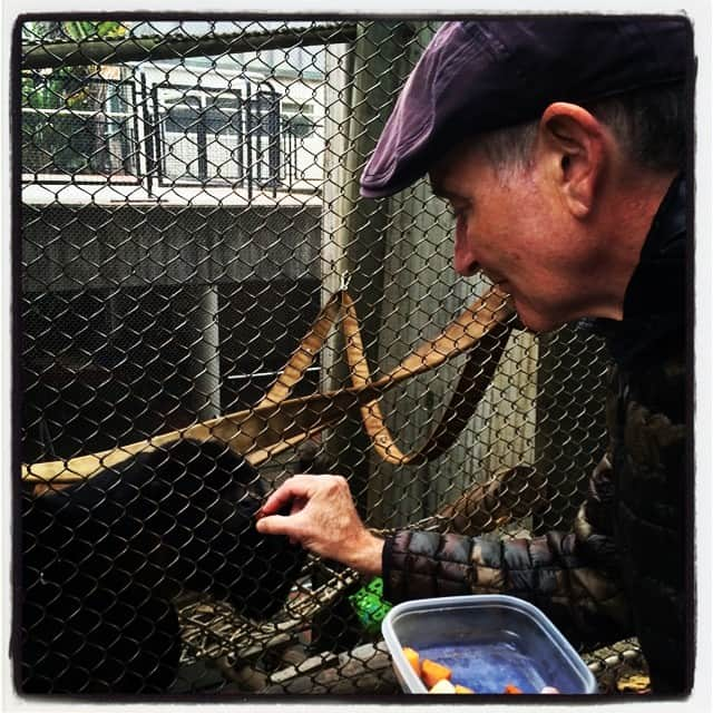 ロビン・ウィリアムズさんのインスタグラム写真 - (ロビン・ウィリアムズInstagram)「Feeding "Robin Williams" @sanfranciscozoo.  He's their newest Holller Monkey, named after me!」6月7日 10時57分 - therobinwilliams