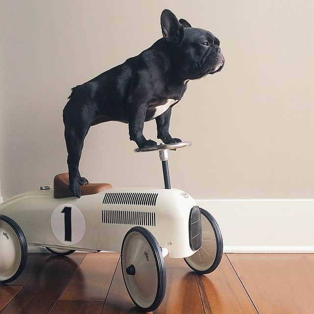Trotterのインスタグラム：「My new whip」