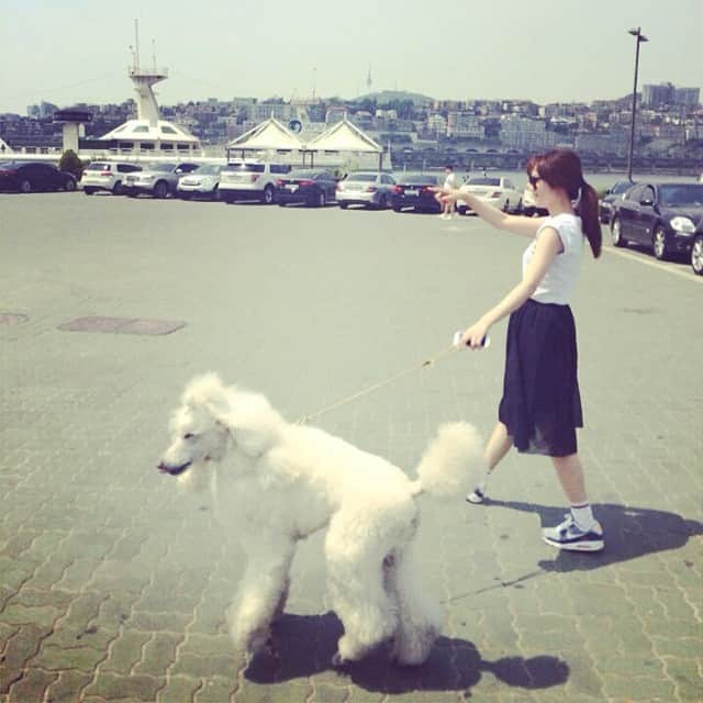 笛木優子のインスタグラム：「날씨 너무 좋당~~💙🌿☀️#블랑」