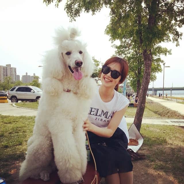 笛木優子のインスタグラム：「블랑 너무 이쁘죠!!챔피언 강아지답죠😁💗👑#블랑」
