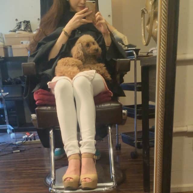 奈々子のインスタグラム：「ななちみヘアメンテナンス中💓 with #コムギーニ 🐻#chimimovie」