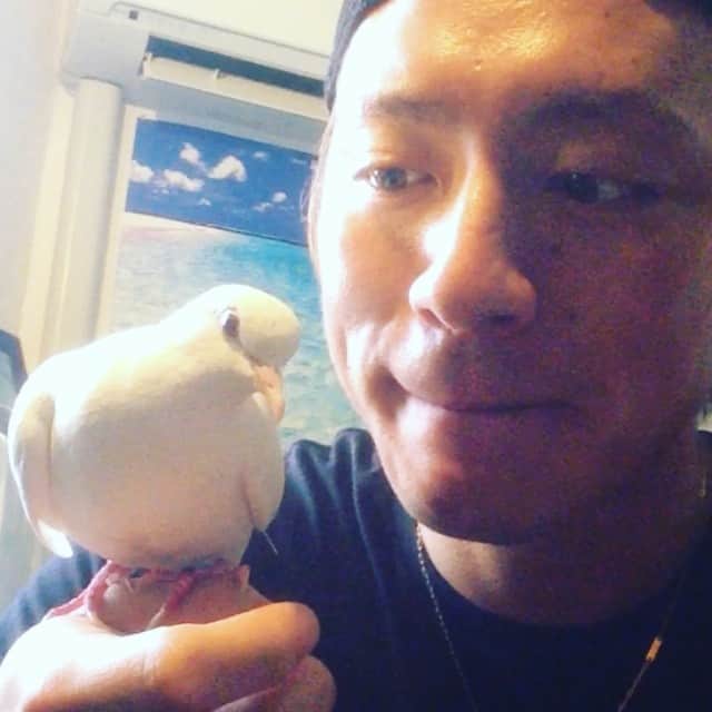 内山麿我のインスタグラム：「ハトのポーちゃん」