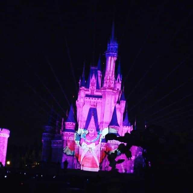 のインスタグラム：「ワンス・アポン・ア・タイム  #ワンスアポンアタイム #シンデレラ #プロジェクションマッピング  #TDL #tokyodisneyland #ディズニー #ディズニーランド #ショー #感動 #キャッスルショー #cinderella」