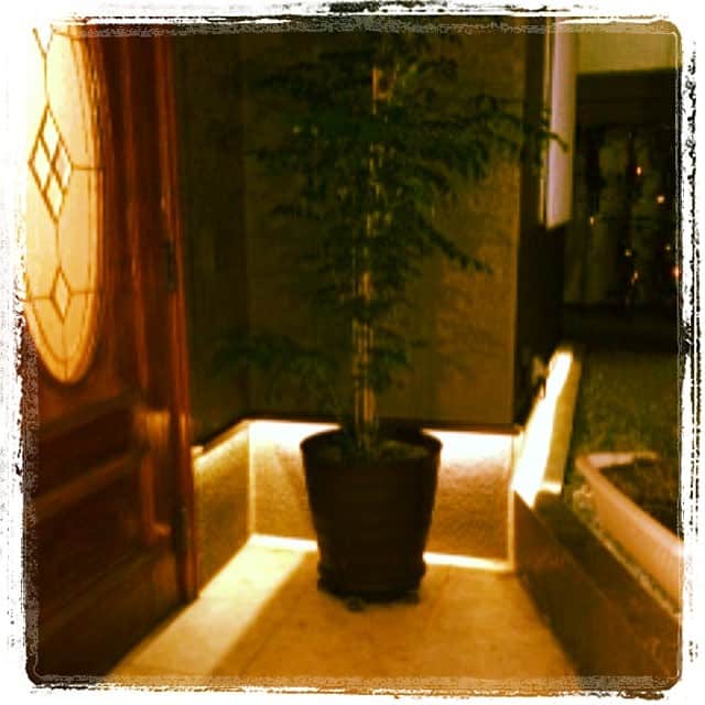 志摩有子さんのインスタグラム写真 - (志摩有子Instagram)「旦那さんが今日1日かけて玄関にLEDを設置。もはや電気屋さん並み。#インスタにアップして欲しいとうるさいので #ヴィンテージハウスm #ヴィンテージハウス_m」6月1日 21時30分 - ariko418