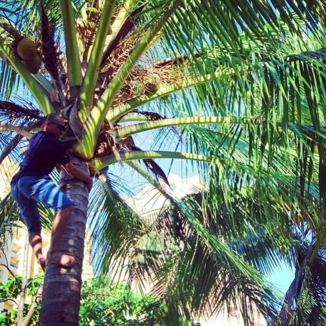倉地美晴さんのインスタグラム写真 - (倉地美晴Instagram)「#Cebu#love #life #sea #fun#coconuts #sky」7月3日 17時17分 - miharu_kurachi
