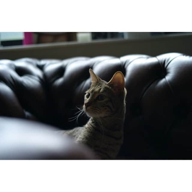 松田翔太のインスタグラム