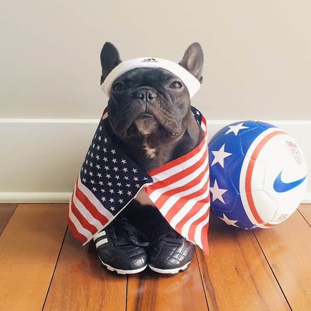Trotterさんのインスタグラム写真 - (TrotterInstagram)「Who wore it better? Me or Clint Dempsey on the @sportsillustrated cover?  Go USA! #worldcup」7月2日 4時09分 - trotterpup