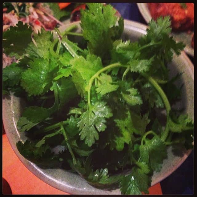 志摩有子さんのインスタグラム写真 - (志摩有子Instagram)「今夜もパクチー別盛り！  #dinner  #タイ料理 #パクチーマニア」7月1日 21時05分 - ariko418