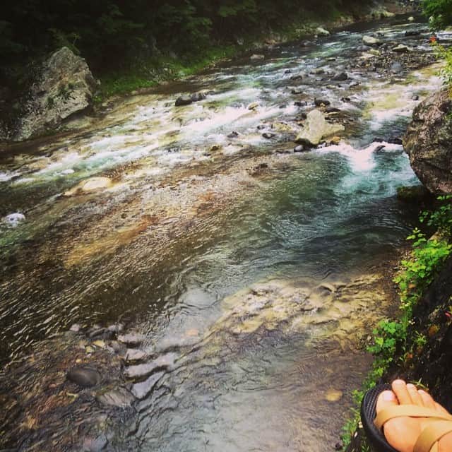 のインスタグラム：「本日の川チェックー⛅️#栃木#那須#カヤック#ラフティング#コヨーテ」