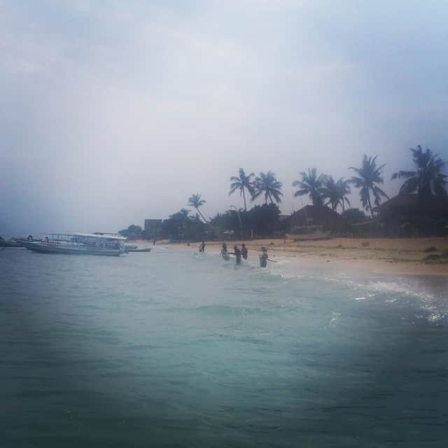 ペルネル・キャロンさんのインスタグラム写真 - (ペルネル・キャロンInstagram)「Harvesting seaweed」6月10日 11時16分 - pernelle_carron