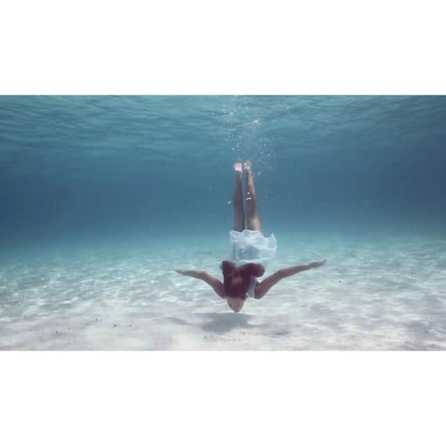 Elena Kalisのインスタグラム：「@_bahamasgirl_ diving for 📷📷📷」