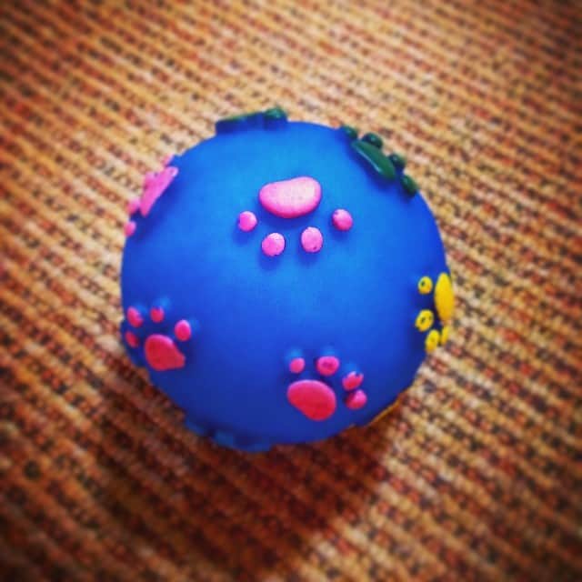 ベティのインスタグラム