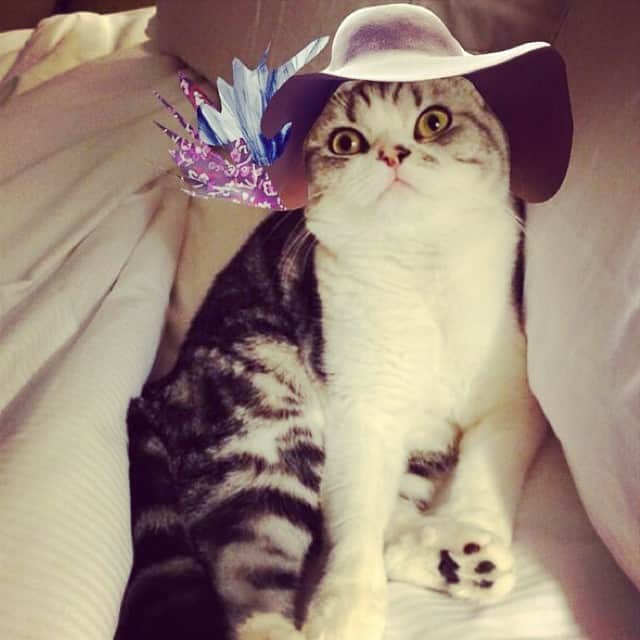 のインスタグラム：「VOGUE」