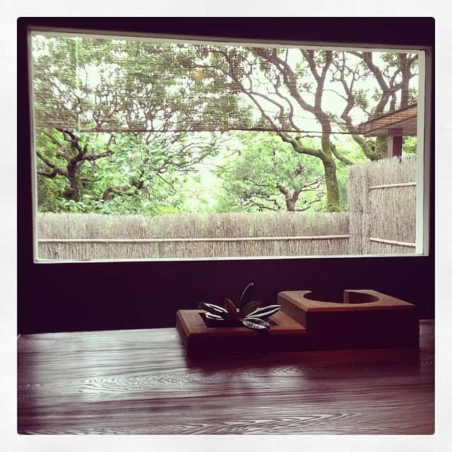 志摩有子さんのインスタグラム写真 - (志摩有子Instagram)「ランチミーティング。しっとり隠れ家的みたいな場所。#ランチ #隠れ家」6月18日 17時38分 - ariko418