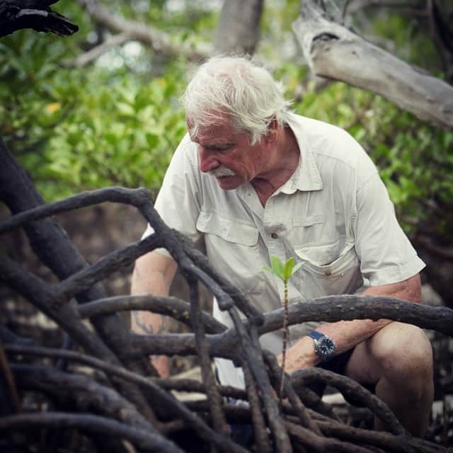 のインスタグラム：「GoodPlanet founder Yann Arthus-Bertrand examines a mature mangrove on the coast of Bahoi, the site of one of OMEGA’s “Time for the Planet” projects. OMEGAWATCHES.COM/PLANET-OCEAN #omega #omegawatches #timefortheplanet #ocean #planet #ecology #environment #nature #yannarthusbertrand #goodplanet #planetocean #omegaplanetocean #bahoi #indonesia #mangrove #OMEGAmychoice」