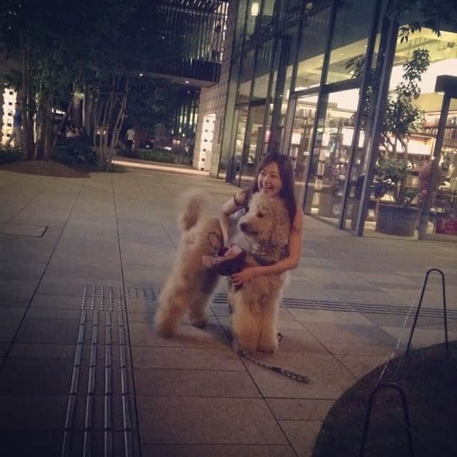 笛木優子のインスタグラム：「すっごいカワイイ🐶💕フカフカ〜🎶」