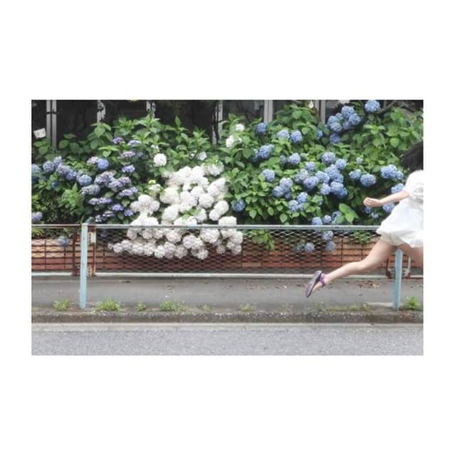 長嶋りあんのインスタグラム：「女優志望で、事務所さがしています。仕事がしたい。」