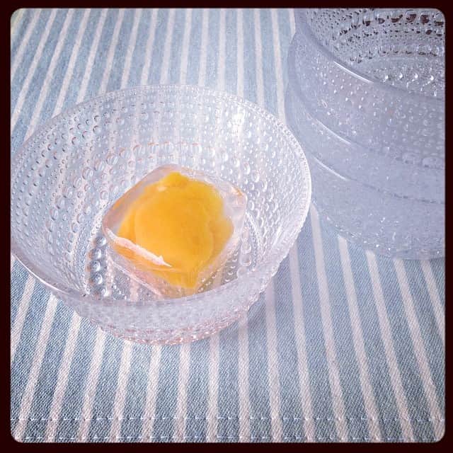 のインスタグラム：「注文していた夏用の器が届いた♪  枇杷ゼリーで初夏気分を満喫！ #iittala #茂木一まる香 #枇杷ゼリー」