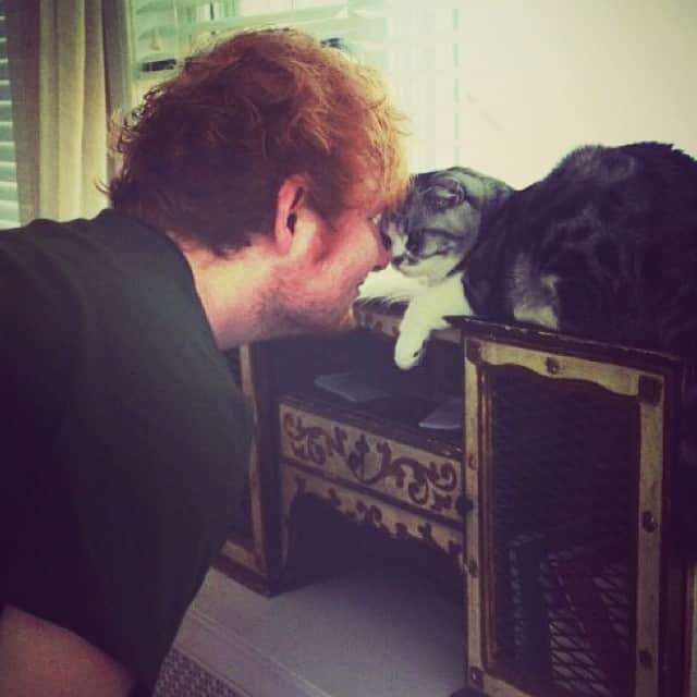 のインスタグラム：「'X' by Ed Sheeran is out now! #partayyyy」